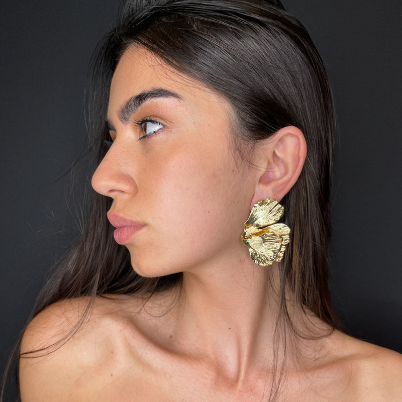 Palestro Milano Orecchini Parigi - ex demo