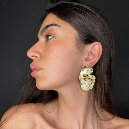 Palestro Milano Orecchini Parigi - ex demo