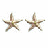 Palestro Milano Orecchini Rosa Stelle marine Zanzibar