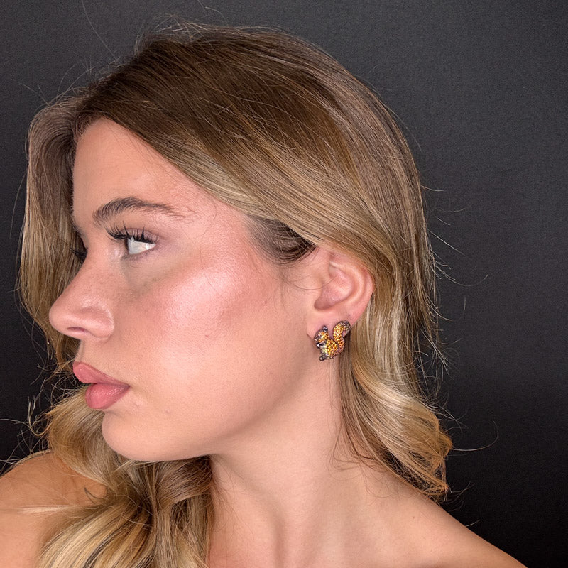 Palestro Milano Scoiattoli di Pavè