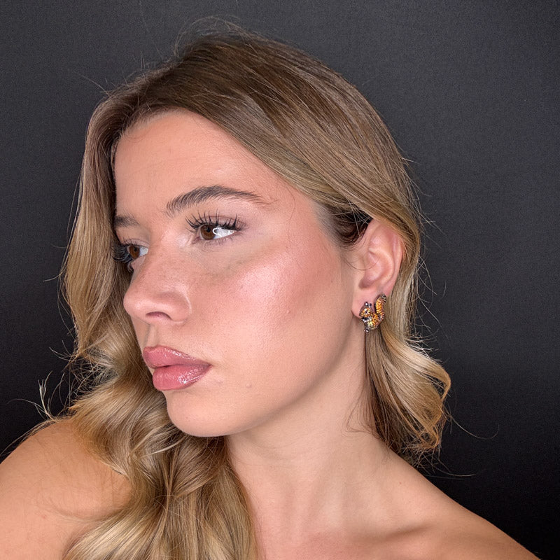 Palestro Milano Scoiattoli di Pavè