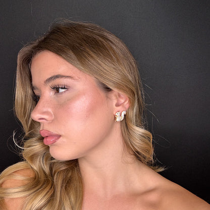 Palestro Milano Scoiattoli di Pavè