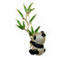 Palestro Milano Spille e spillette Gold Baby Panda e Bambù