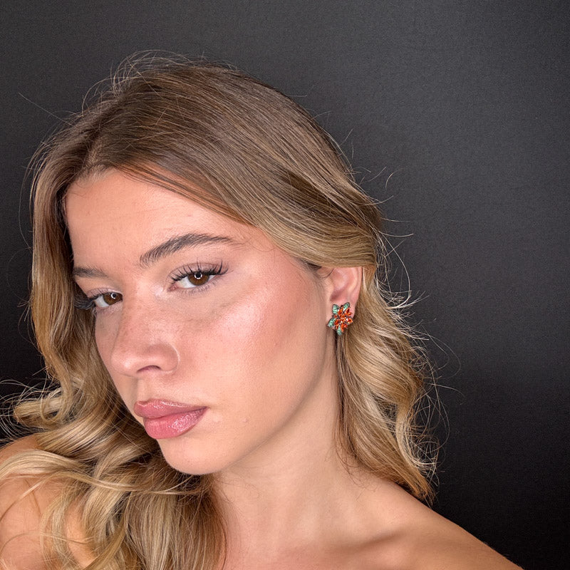 Palestro Milano Stelle colorate di pavè