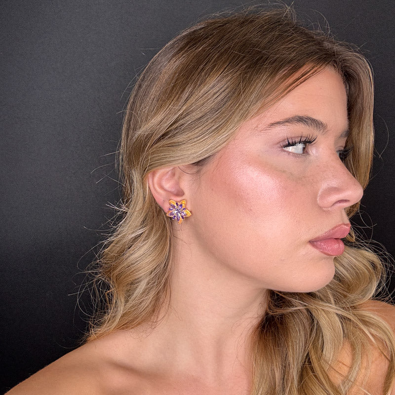 Palestro Milano Stelle colorate di pavè