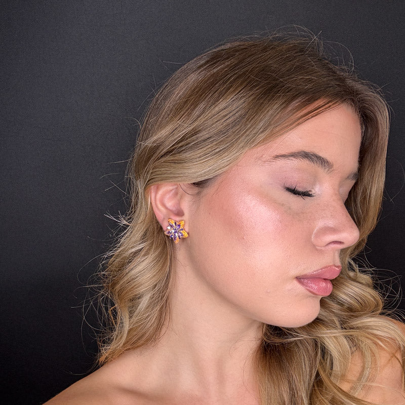 Palestro Milano Stelle colorate di pavè