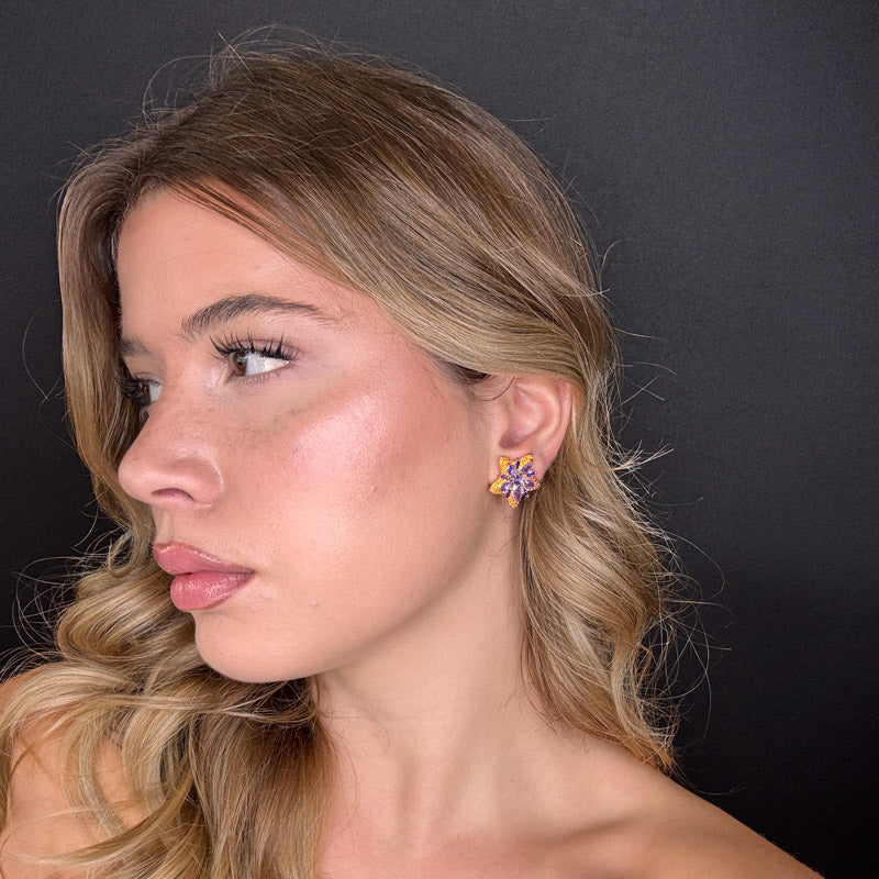 Palestro Milano Stelle colorate di pavè