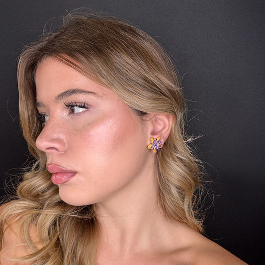 Palestro Milano Stelle colorate di pavè