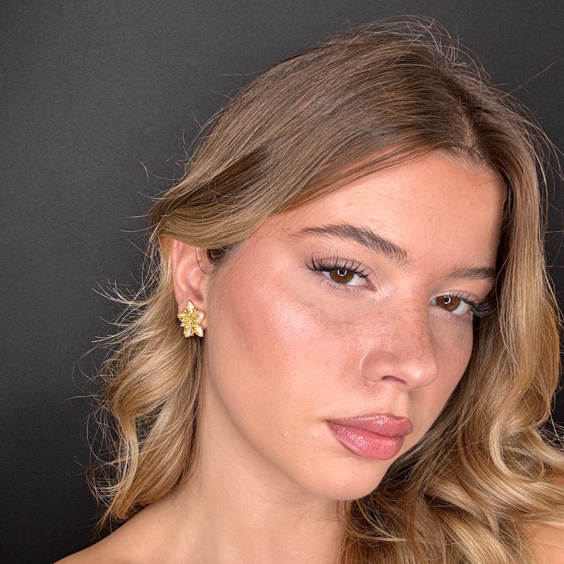 Palestro Milano Stelle colorate di pavè