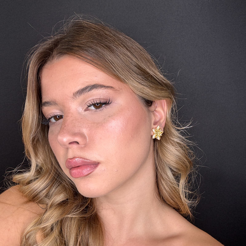 Palestro Milano Stelle colorate di pavè