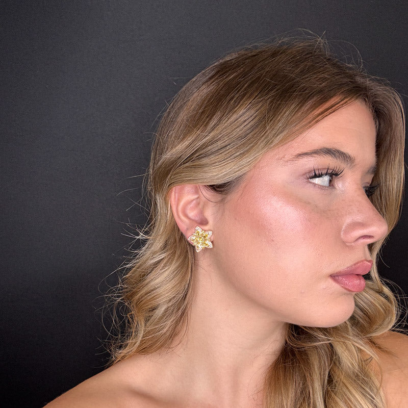 Palestro Milano Stelle colorate di pavè