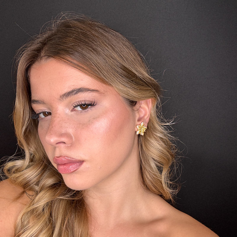 Palestro Milano Stelle colorate di pavè