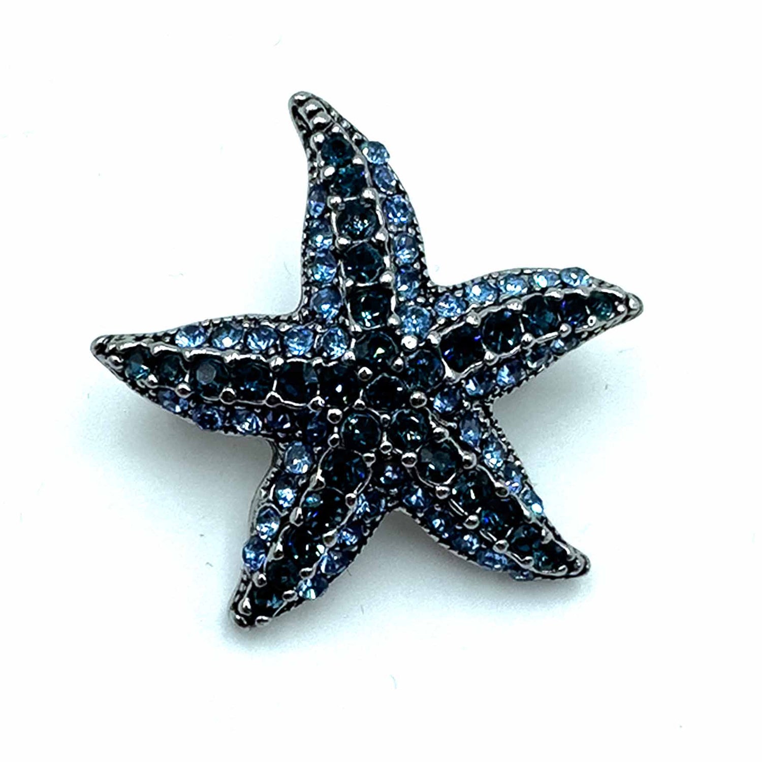 Palestro Milano Spille e spillette Acqua Marine Stella Marina