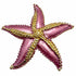 Palestro Milano Spille e spillette Fucsia Stella Marina Big