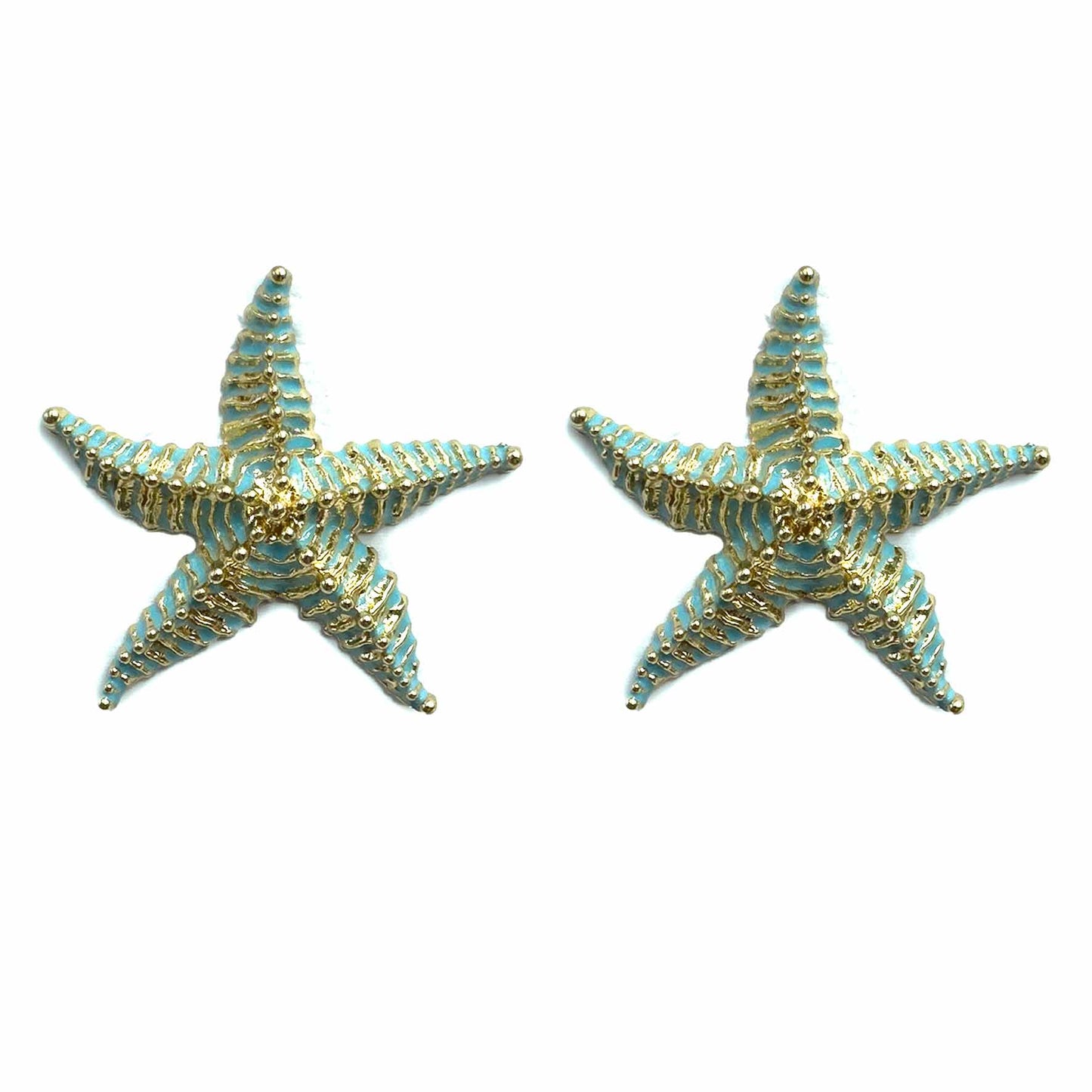 Stelle marine Zanzibar