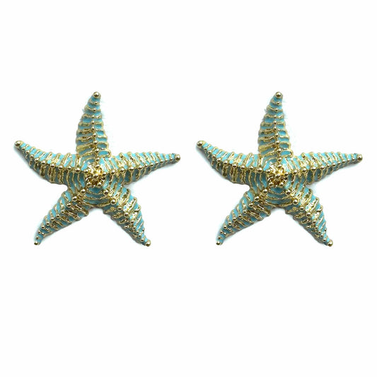 Stelle marine Zanzibar