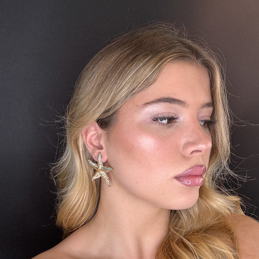 Stelle marine Zanzibar