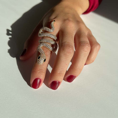 Palestro Milano Anelli Serpentello