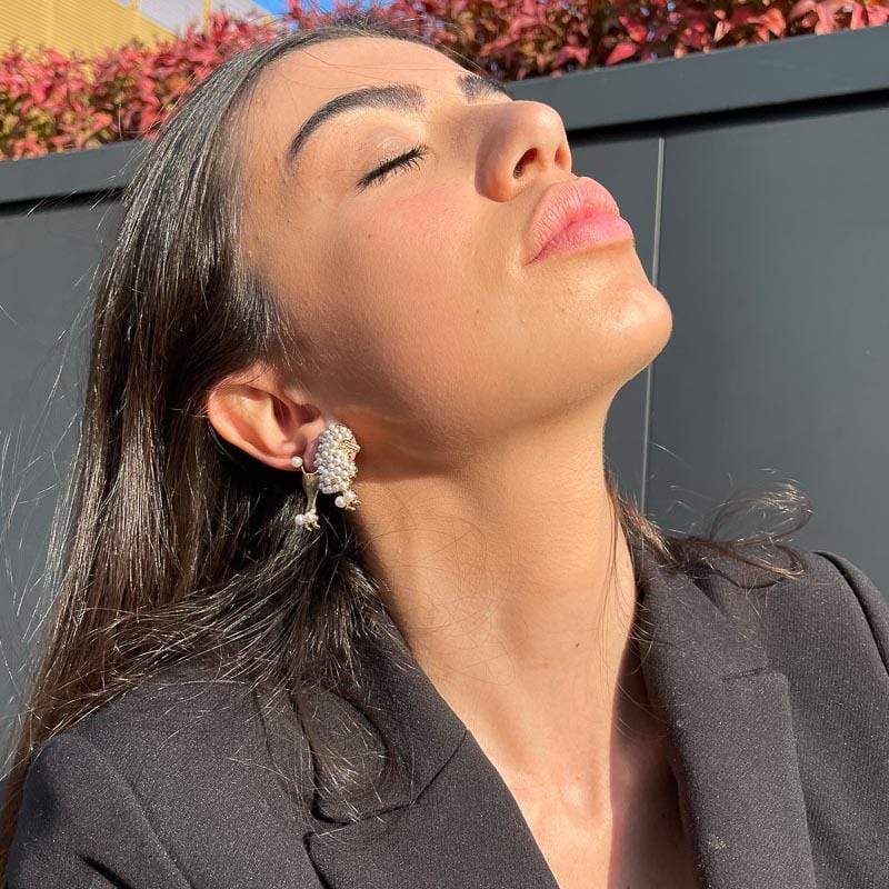 Palestro Milano Barboncino