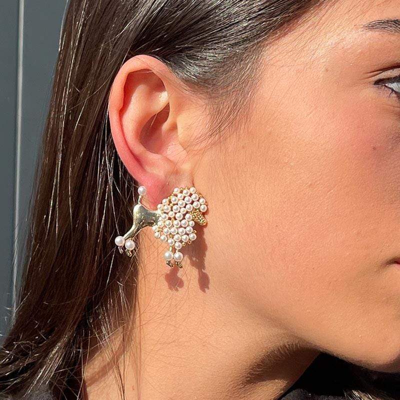 Palestro Milano Barboncino