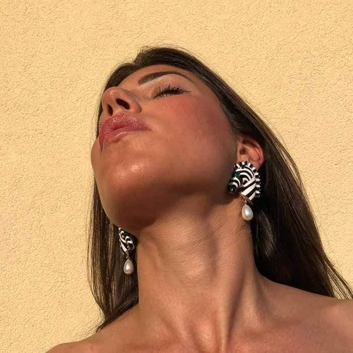 Palestro Milano Zebre