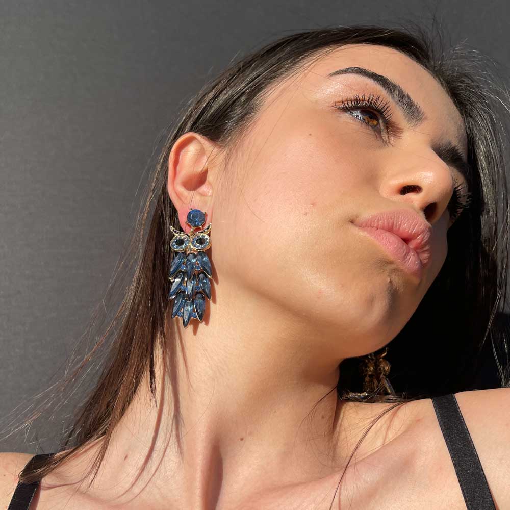 Palestro Milano Orecchini Gufi