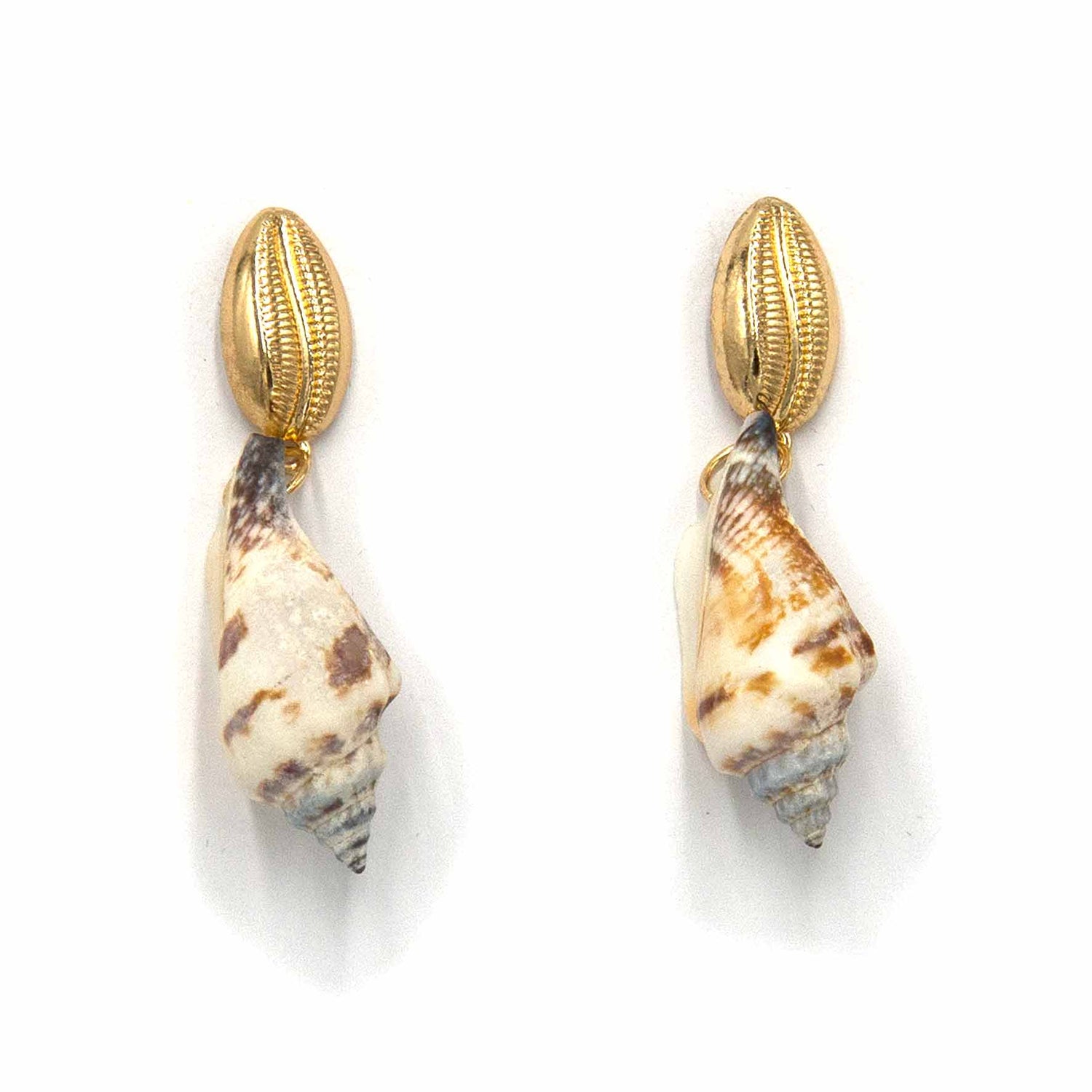 Palestro Milano Orecchini Paguro Conchiglie vere