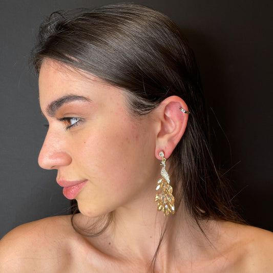 Palestro Milano Orecchini Pavone