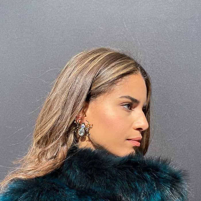 Palestro Milano Orecchini Ragnetti