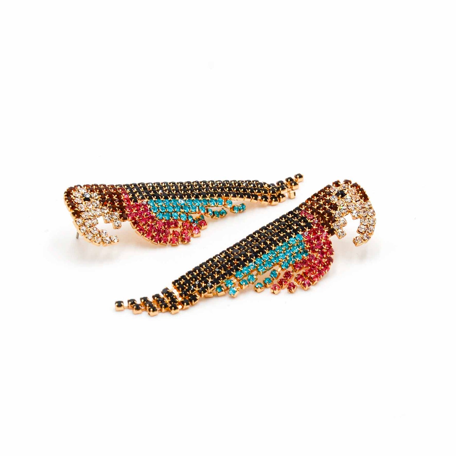 Palestro Milano Pappagalli