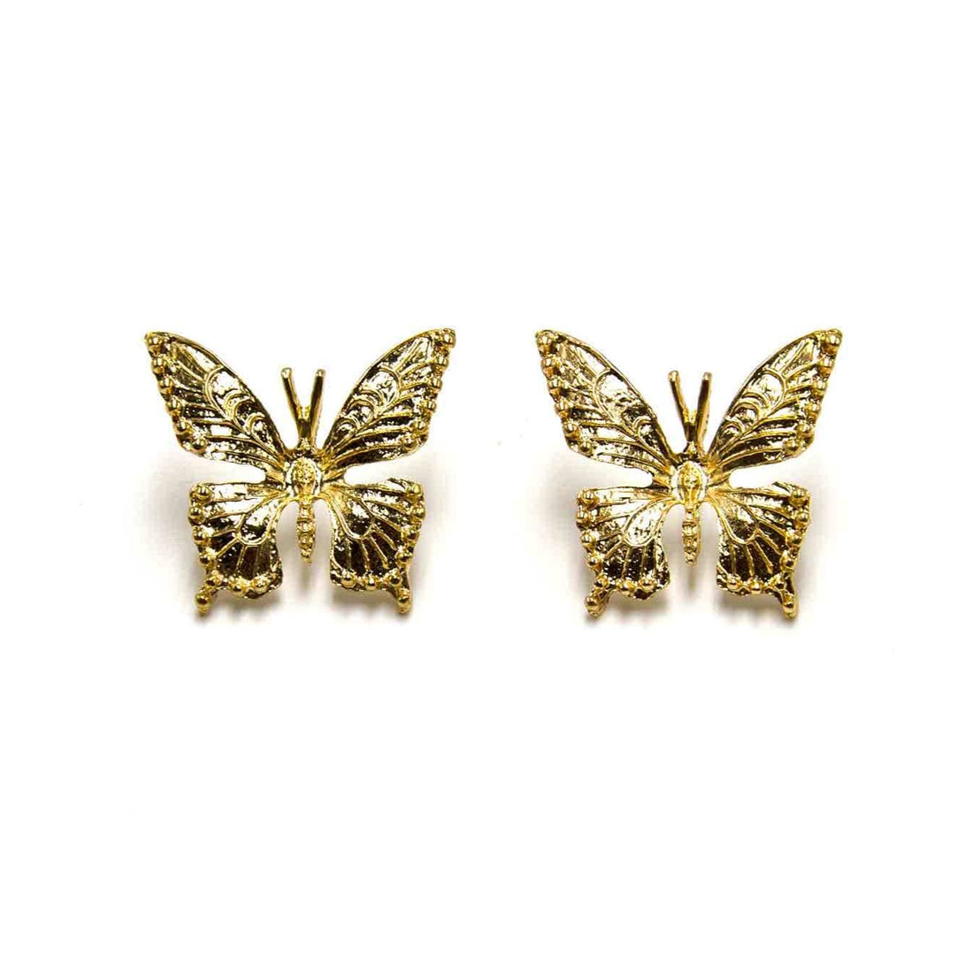 Palestro Milano Farfalle